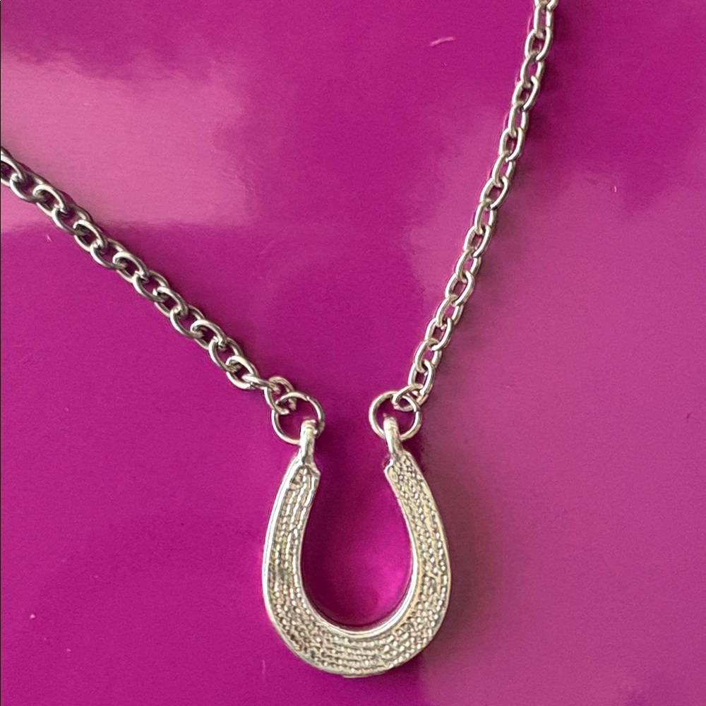Horseshoe Silver Necklace NWT